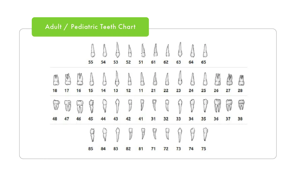 Digital Charting