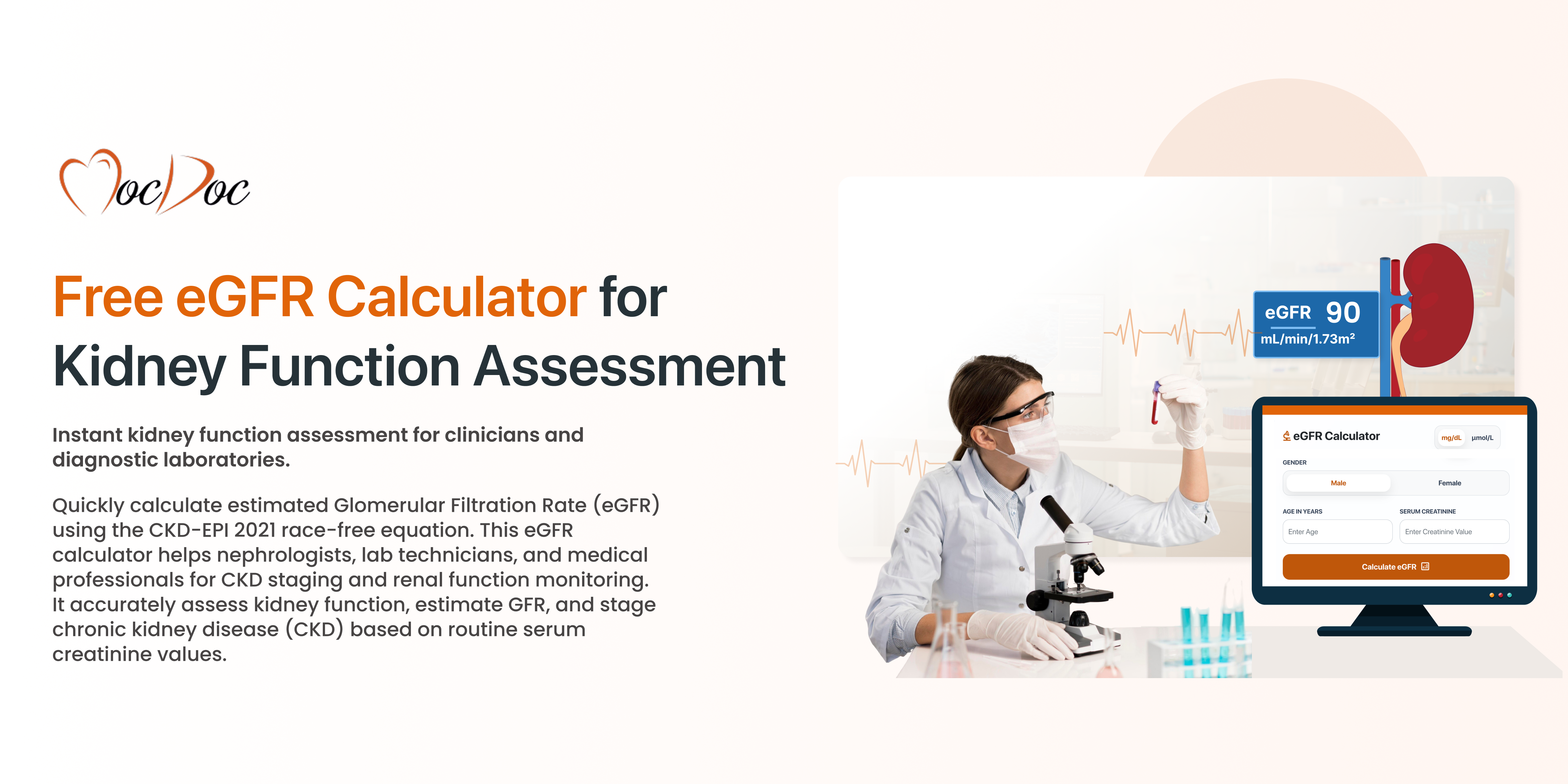 eGFR Calculator - Free Online Kidney Function Test